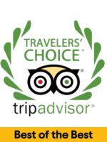 TripAdvisor 2020 Travelers' Choice Award